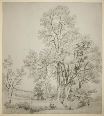 A Stand of Elm Trees (recto); A Study of East Bergholt with the Church (verso) — John Constable