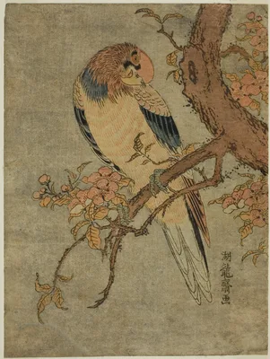 Parrot on Quince Tree — Isoda Koryūsai