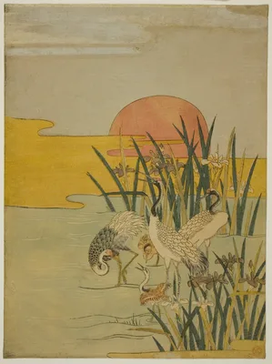 Cranes in an Iris Pond at Sunrise — Isoda Koryūsai