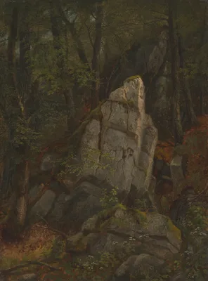 Study of Rocks in Pearson's Ravine — Asher Brown Durand
