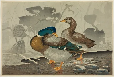 A pair of ducks by a lotus pond — Kobayashi Kiyochika