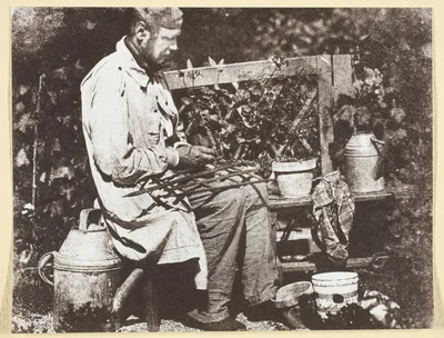 Bayard Jardinier — Hippolyte Bayard