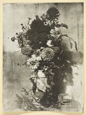 Bouquet de Fleurs — Hippolyte Bayard