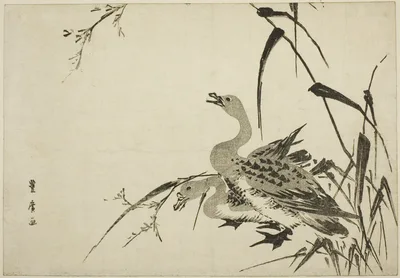 Wild Geese and Reeds — Utagawa Toyohiro