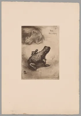 Japonisme — Félix Buhot