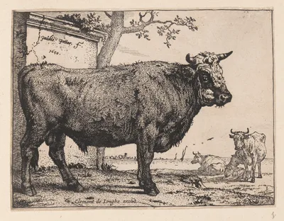 The Bull, from Various Oxen and Cows — Paulus Potter