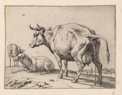 The Pissing Cow, from Various Oxen and Cows — Paulus Potter