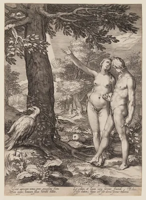 Adam and Eve before the Tree of Knowledge, from History of the First Parents of Man — Jan Saenredam