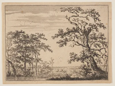 The Pond — Adriaen Hendriksz Verboom