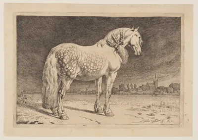The Frisian Horse, from Series of Horses — Paulus Potter