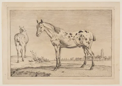 The Neighing Horse, from Series of Horses — Paulus Potter