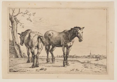 The Plough Horse, from Series of Horses — Paulus Potter