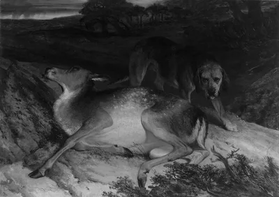 Wounded Stag and Dog — Edwin Landseer