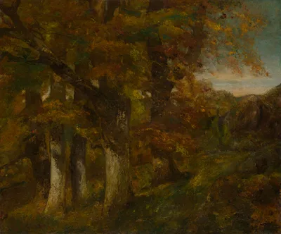 Wooded Landscape — Gustave Courbet