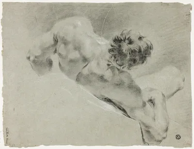 Male Nude Seen from the Back — Domenico Maggiotto