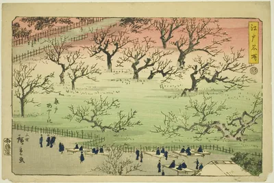 Plum Garden at Kameido (Kameido Umeyashiki), from the series "Famous Places in Edo (Edo meisho)" — Utagawa Hiroshige II