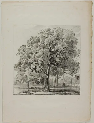 Study of Trees — Louis-Pierre Baltard
