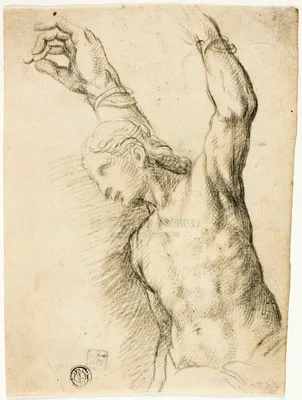 Saint Sebastian — Vincenzo Campi