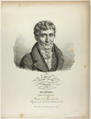 Portrait of André-Marie-Constant Duméril — Julien-Léopold Boilly