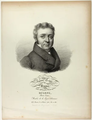 Portrait of Pierre-Louis Dulong — Julien-Léopold Boilly
