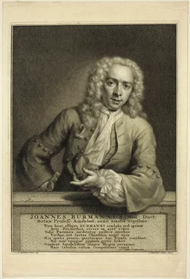 J. Burmannus — Jacobus Houbraken