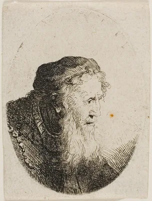 Bearded Old Man in a Skull Cap — Ferdinand Bol