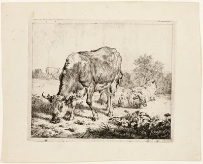 Bull Grazing and Three Sheep — Adriaen van de Velde