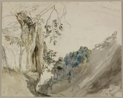 Spanish Chestnut — John Ruskin