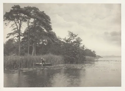 The Haunt of the Pike — Peter Henry Emerson
