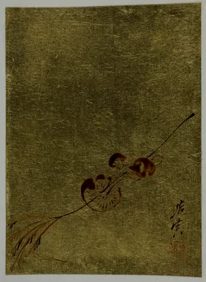 Mushrooms — Shibata Zeshin