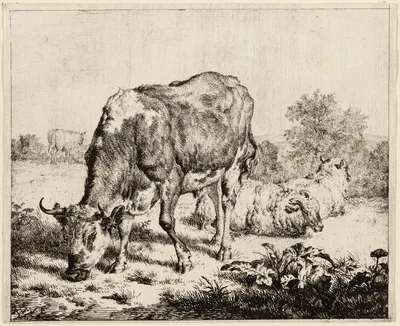 A Cow and Three Sheep — Adriaen van de Velde
