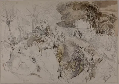 Shrubs and Trees in Rocky Landscape — John Ruskin