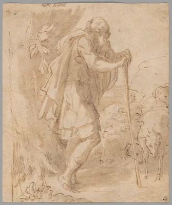 Old Shepherd Leaning on a Staff — Parmigianino