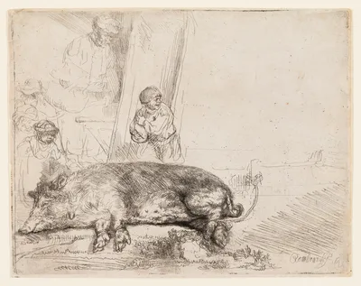 The Hog — Rembrandt