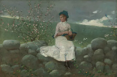 Peach Blossoms — Winslow Homer