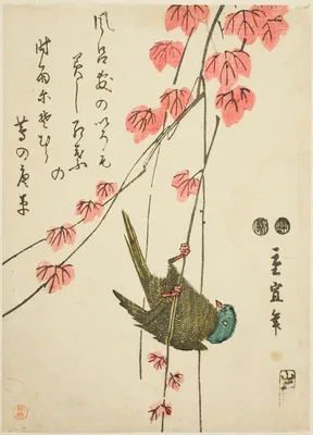Small bird and ivy — Utagawa Hiroshige II