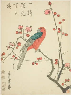 Parrot on plum branch — Utagawa Hiroshige II