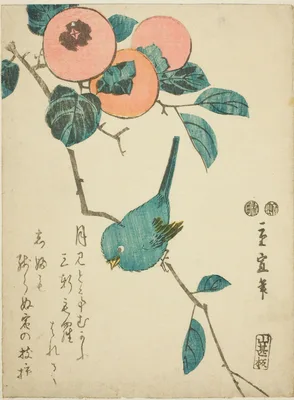 Japanese white-eye and persimmons — Utagawa Hiroshige II
