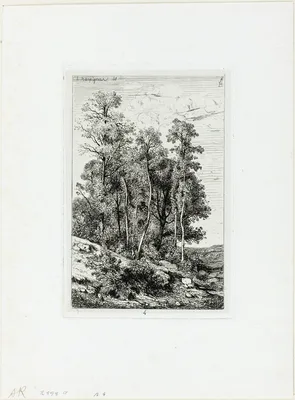 Birches and Oaks — Henri Harpignies