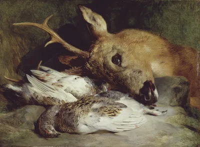 Head of a Roebuck and Two Ptarmigan — Edwin Landseer