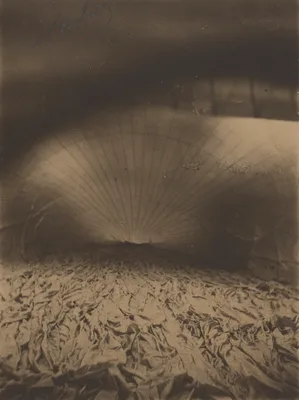 Interior of Le Géant Inflating — Nadar