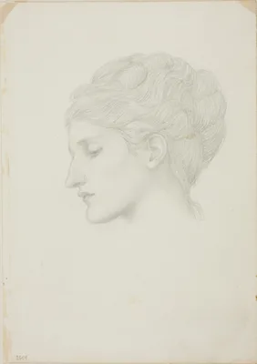 Woman's Head in Profile to Left — Edward Burne-Jones