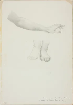 Arm and Feet, study for Mirror of Venus — Edward Burne-Jones