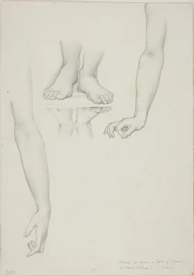 Study for Mirror of Venus: Arms and Feet of Venus — Edward Burne-Jones