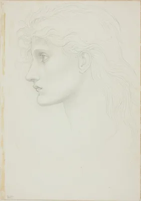 Head of Girl Facing Left — Edward Burne-Jones