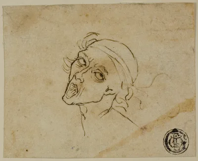 Male Head — Michelangelo