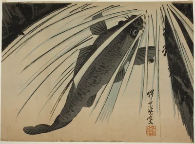 Carp Ascending Falls — Kawanabe Kyōsai