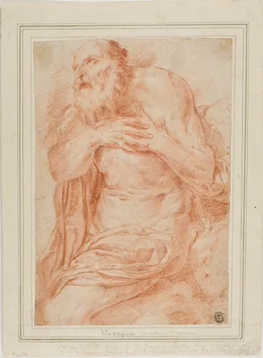 Saint Jerome — Agostino Carracci