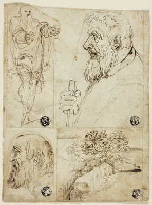 Four Sketches: Standing Male Figure; Profile Bust of Bearded Man; Profile Head of Bearded Man; Landscape — Agostino Carracci