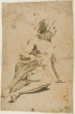 Seated Male Nude — Carlo Cignani